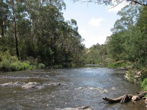 The Yarra River at Wonga Park, Victoria, Australia by Melburnian